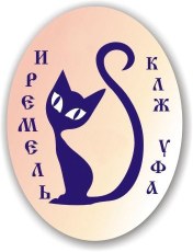 КЛЖ